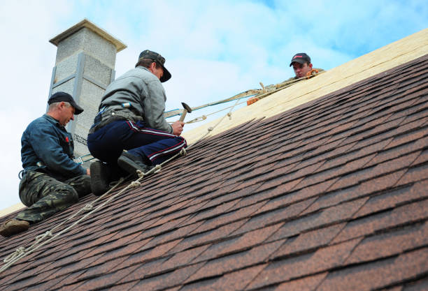 Best Roof Waterproofing Services  in Effort, PA