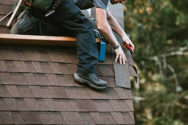 Best Local Roofing Companies  in Effort, PA